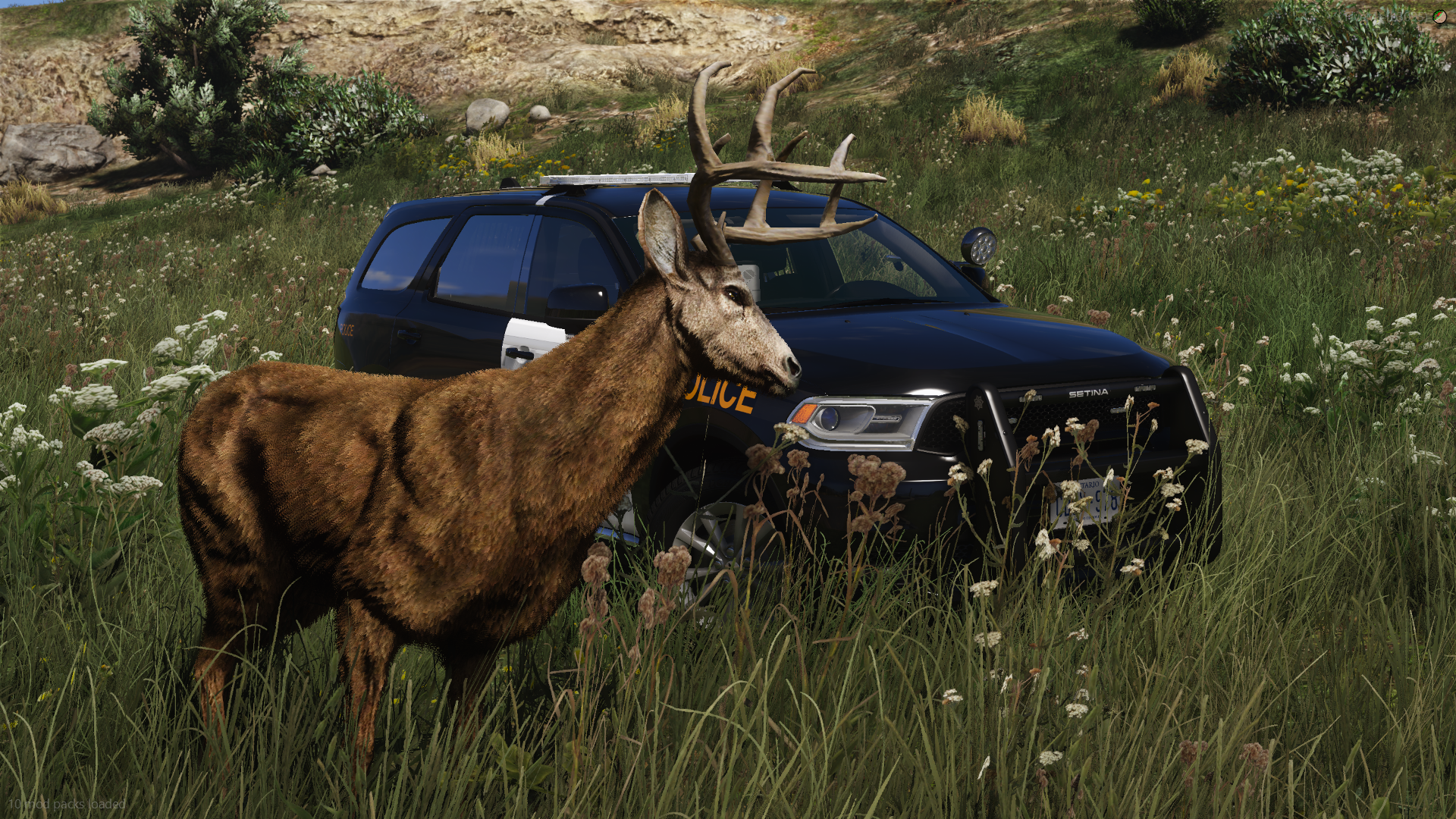 O.P.P. 18-20 Durangos Addon product banner