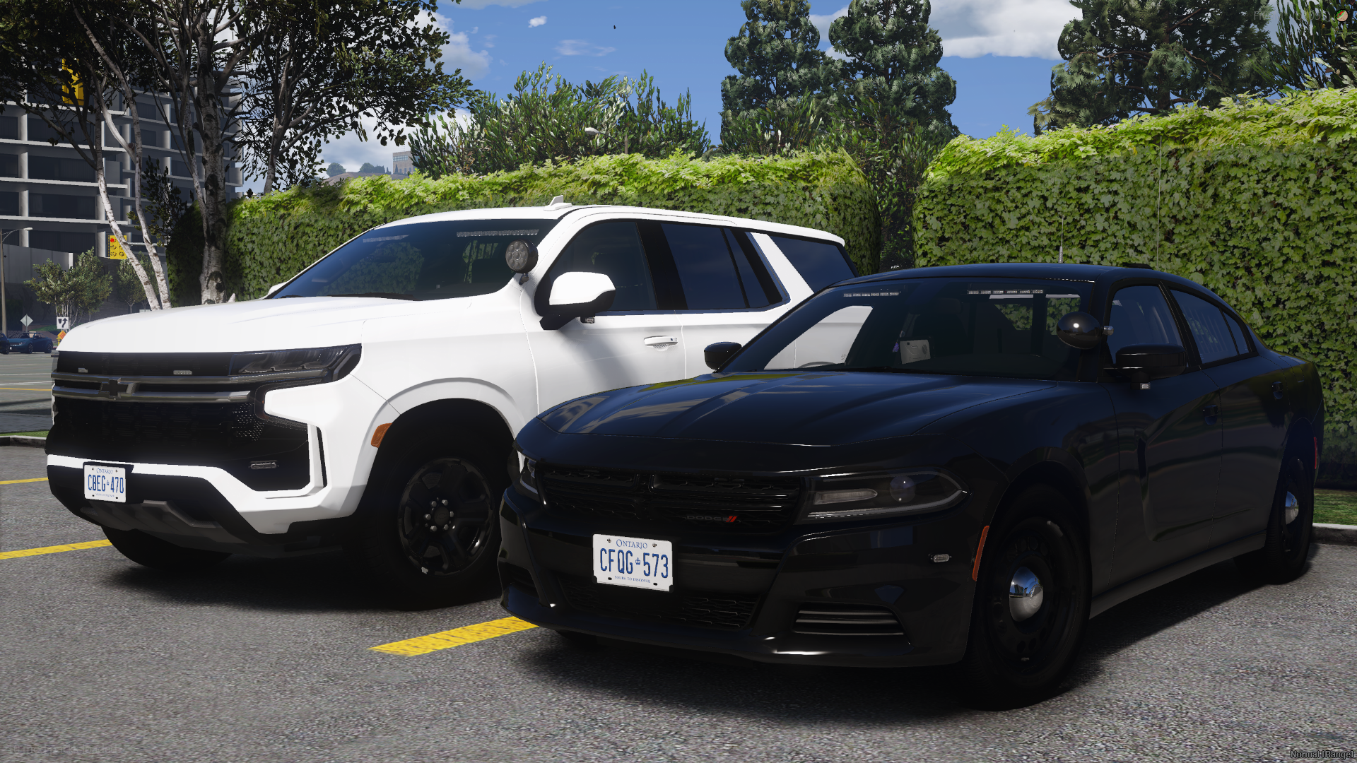 O.P.P. Full Pack product banner